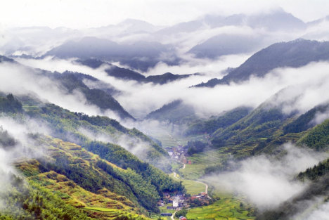 同花顺子公司遭遇监管风暴：被责令改正并暂停新增客户